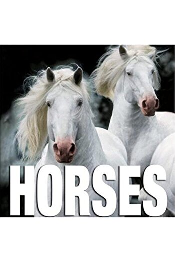 Ingram Horses Cube Books