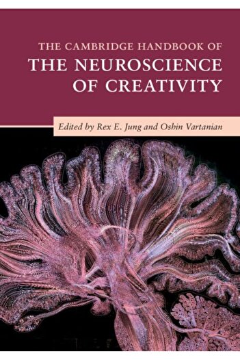 Cambridge University Press The Cambridge Handbook Of The Neuroscience Of Creativity