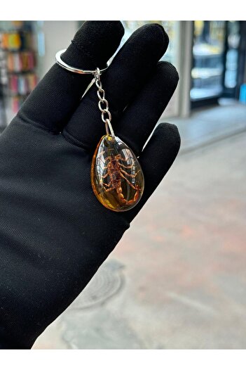 KEHRİBAREVİ KARAMAN 1 Piece Scorpion Powder Amber - Keychain Price Is