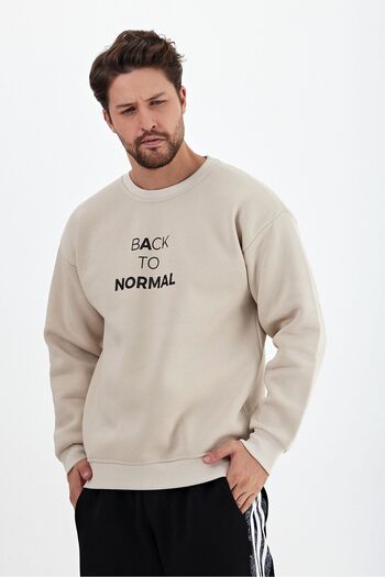 THE RULE Ανδρικό φούτερ σε μπεζ Oversize Crew Neck με στάμπα μαλακό φτερωτό