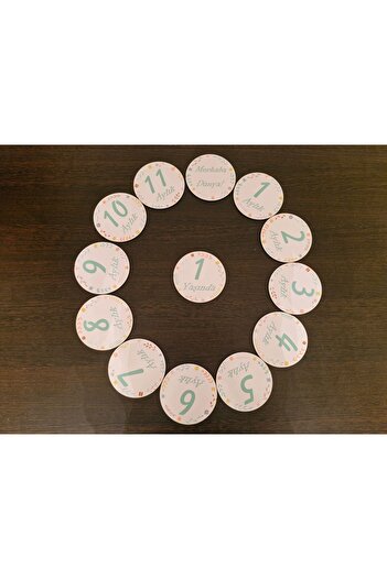 Fizello Monthly 13 Piece Baby Memory Cards Set