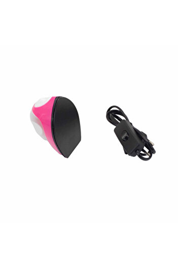 bidoluhobi Mini Portable Iron