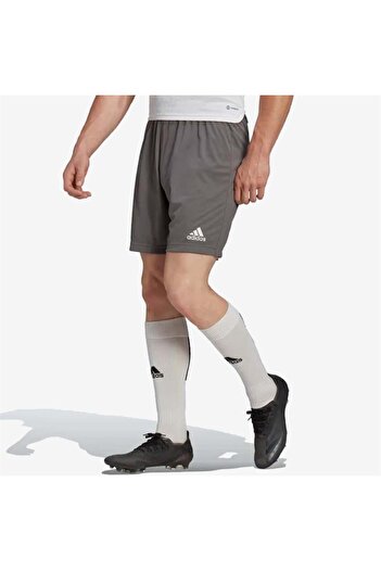 adidas Entrada 22 Short Erkek Futbol Şortu