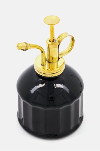 Modern Sprout Glass Brass Mister , Black