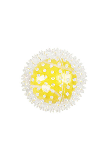 Pawise Msa-Shop Bouncing Ball Dog Toy Tennis Ball