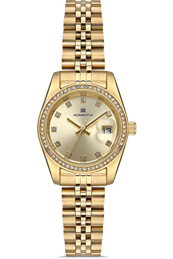 Momentus Sw135g-08sg