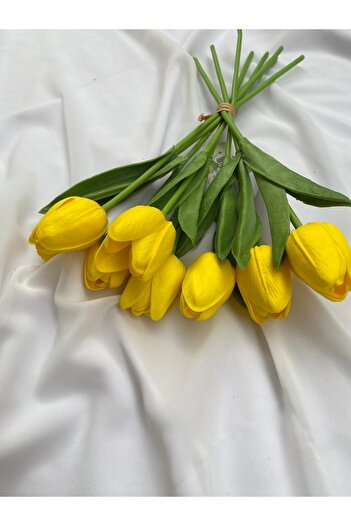 Z&B FLOWERS Iskak Lale 8’li Lale Vazo Çiçeği Demetlik Lale Gelin Buketi El Buketi
