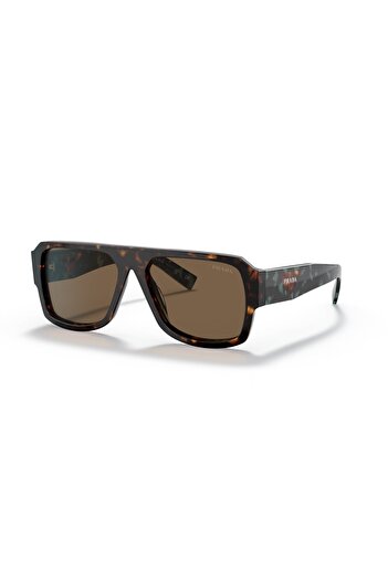 Prada Man Pilot Sunglasses- Pr 22ys - Lense Size:56mm - Havana