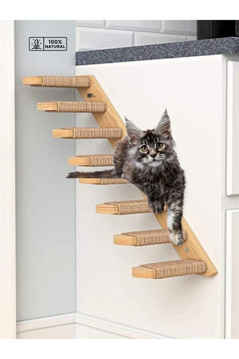 BUSHOP 2-Piece Right Model Natural Cat - Climbing and Scratching Ladder, Wooden Design Wall Mounted