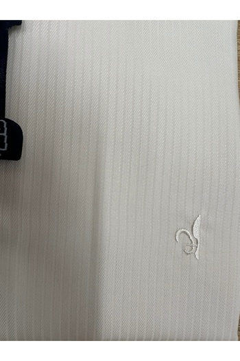 Daniel Bessi Μακρυμάνικο Slim Fit 100% βαμβάκι χωρίς σιδέρωμα που δεν ρυτίζει Dobby Classic ανδρικό πουκάμισο