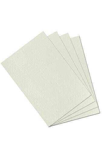 Alex Schoeller 200Gr 100 Pieces Drawing Paper - 35X50