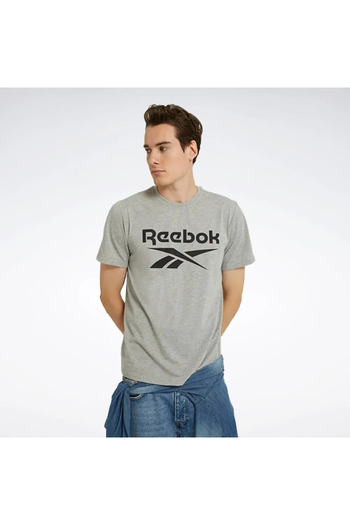 Reebok Identity Stacked Logo Men's Gray Round Neck T-Shirt