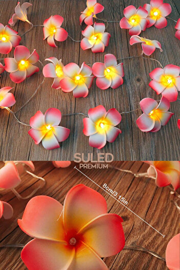 SULED Plumeria Çiçeği Dekoratif Led Işık Ambiyans Ortam Aydınlatması ve Süsleme Ledleri