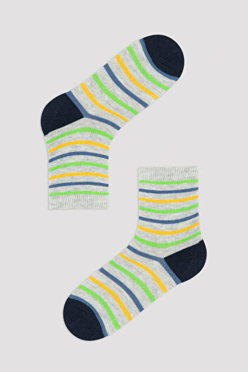 Penti Multicolored Boys Wild Child 4-Piece Socks