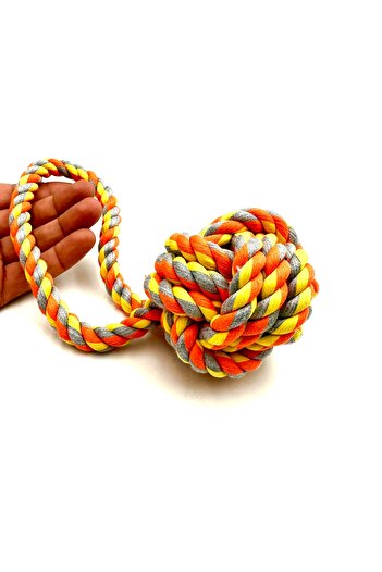 Tasma Market Dog Play Ball with Sturdy Handle