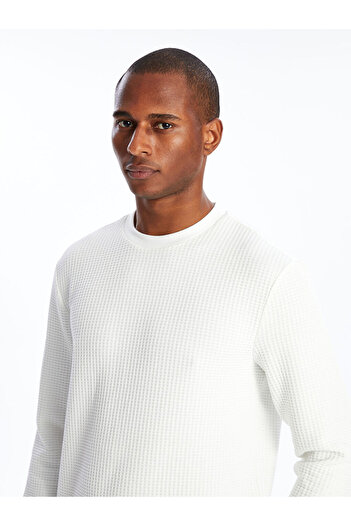LC Waikiki Lcw Vision Ecru Men's Sweatshirt - Long Sleeve, Crew Neck, Textured