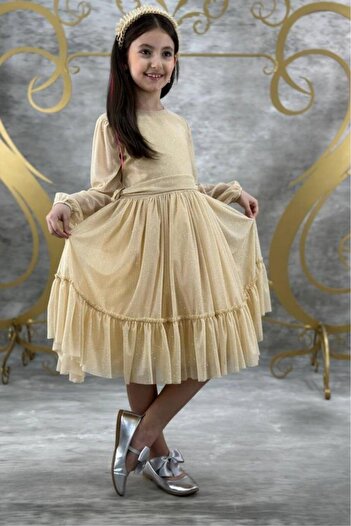 Riccotarz Girl's Crew Neck Sleeves Transparent Skirt Tulle Silvery Gold Evening Dress