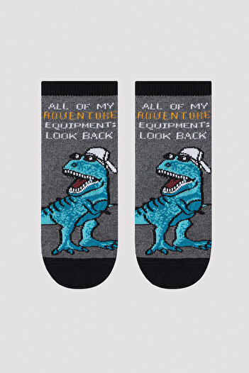 Penti Boy's Dino Adventure 2-Piece Multicolored Socks