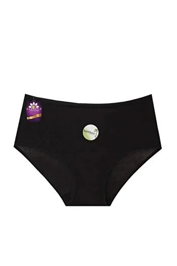 Papatya 2572 WOMEN'S HIGH WAIST BAMBOO PANTY 6 PIECES