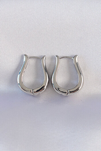 SeyCey.co Brass Silver Color Hollow Rose Earrings