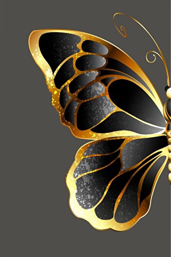 Harikabirev Harikabi̇rev Black-Gold-Grey Butterfly Combination - Plexi Framed Mdf Painting Krfz