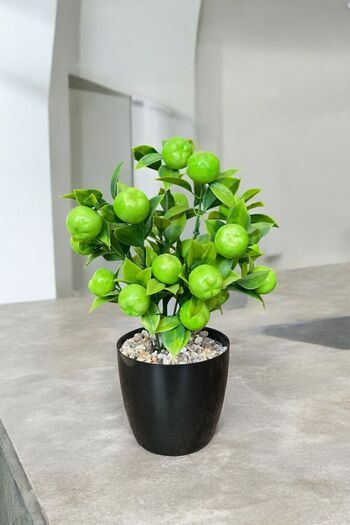 YAPAY ÇİÇEKÇİNİZ Artificial Green Apple Tree in a Pot with Stone Detail