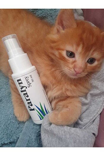 PatiCarni ParalynSprey 50 Kedi, Köpek, Kuş, Tavşan, Bit ilacı, Pire ilacı, Kene, Karınca, Deri Tüy Bakım Ürünü