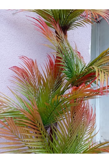 Cennet Home Kızıl Areka Palmiye Sonbahar Ağacı Gold Kemerli metal vazoda 180 cm 54 yaprak dolgun yapay ağaç