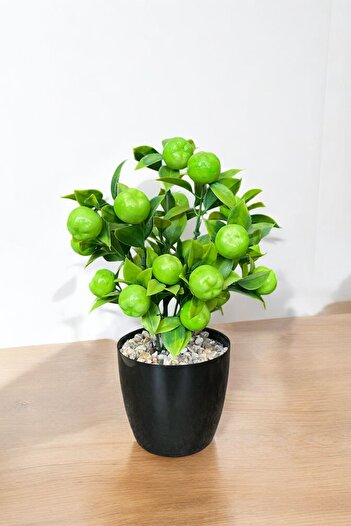 YAPAY ÇİÇEKÇİNİZ Artificial Green Apple Tree in a Pot with Stone Detail