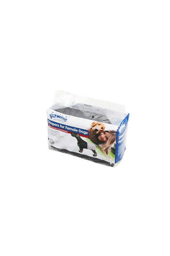 Pawise Msa-Shop Dog Underpants XL Size Black 12 Pieces