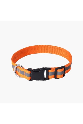 Home Box Canine Glow-in-the-Dark Pet Collar - Medium
