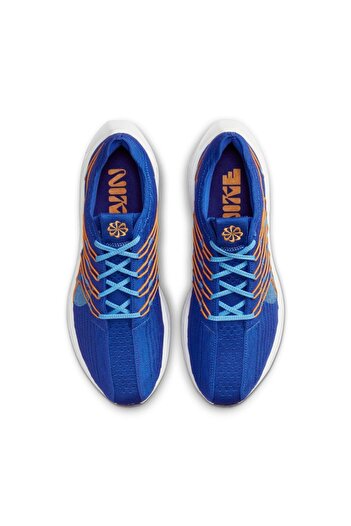 Nike Pantofi de alergare pentru bărbați-fd0717-400