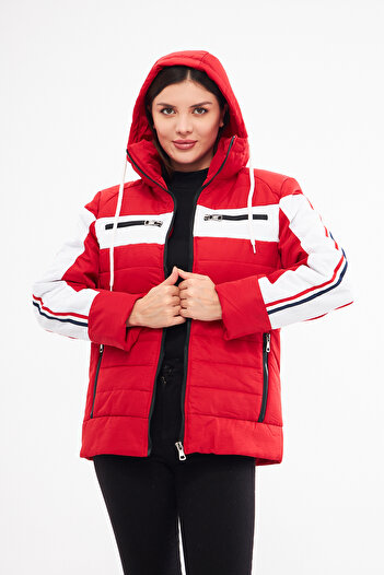 CrazyShopping Women's Sleeves Striped Neck Zippered Corded Hooded Puffer Jacket