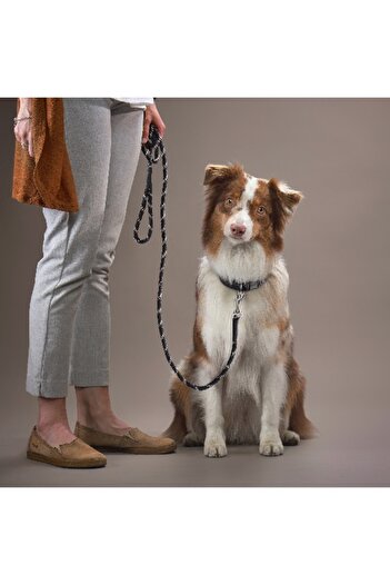 Home Box Canine Rope Pet Leash