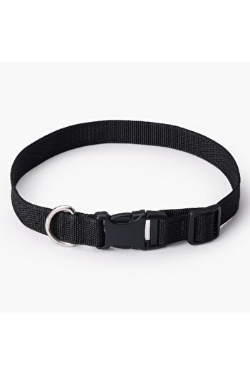 Home Box Canine Nylon Pet Collar - Large