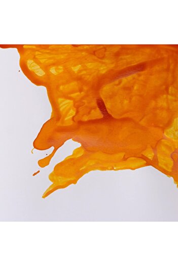 Winsor Newton Winsor & Newton Drawing Ink Drawing Ink 14ml Sunshine Yellow 633