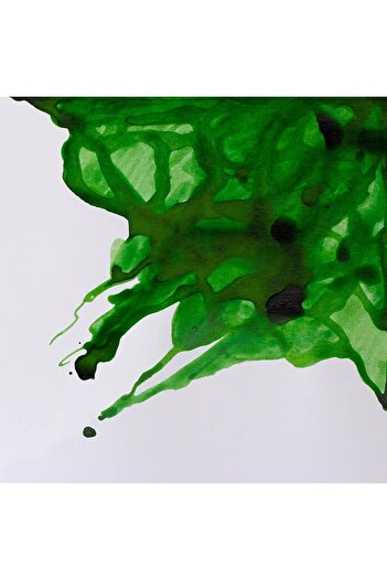 Winsor Newton Winsor & Newton Drawing Ink Drawing Ink 14ml Apple Green 011