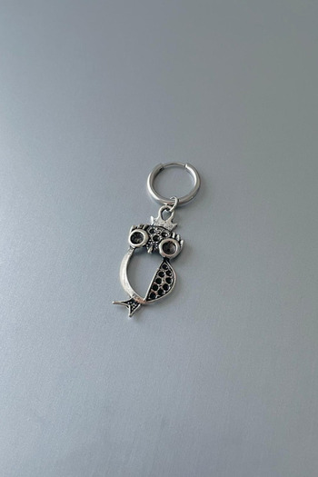 Jaida Moda Unisex Silver Owl Figured Steel Hoop Earrings