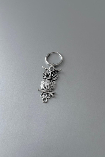 Jaida Moda Unisex Silver Halloween Owl Figure Steel Earrings