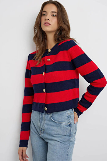 Hiccup Buttoned Striped Knitwear Cardigan
