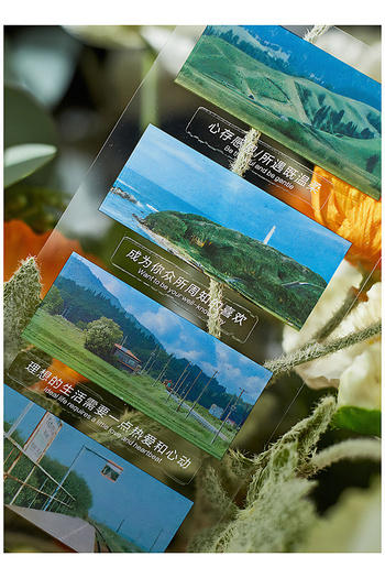 GUGUK 5 Different Design Grass Nature Themed Pet Index Sticker - Post-It Sticky Note