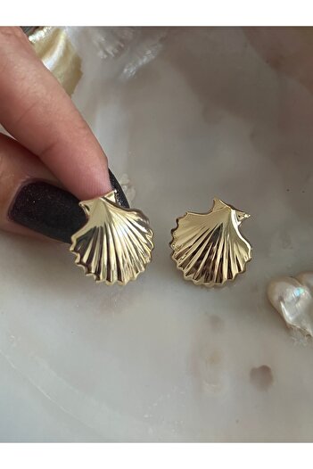 Hoop jewelery Mini Shell Earrings