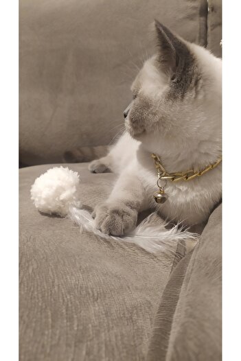 Home Coddry Cat Toy-3Pcs
