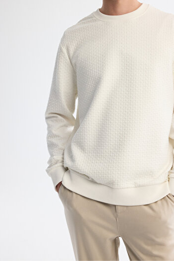 Avva Erkek Ekru Bisiklet Yaka Baskılı İnterlok Regular Fit Sweatshirt A42Y1296