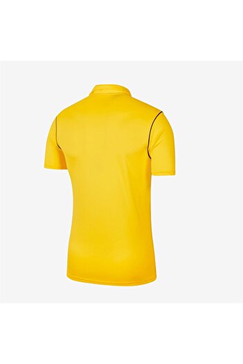 Nike Ανδρικό μπλουζάκι με λαιμόκοψη M Nk Df Park20 Polo Polo