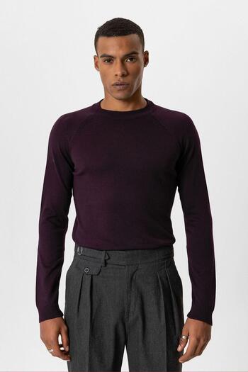Antioch Plum Crew Neck Slim Fit Knitwear Sweater