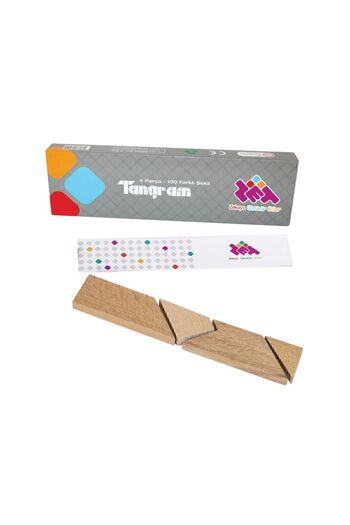 Zetzeka T Tangram Brain Teaser and Mind Game 4 Pieces 100 Different Shapes Ages 5+ 1+ Players