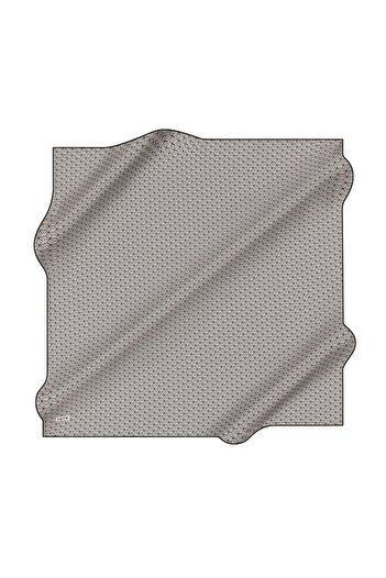 Pierre Cardin Pierre Cardin 911 Twill Silk Scarf - 8911713