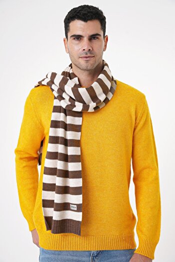 CHUBA Men's Striped and Soft Textured Knitwear Scarf Brown-Beige 25W4002
