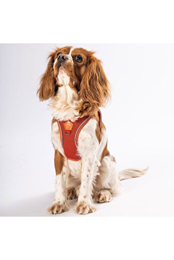 Pawstar Tile Air-mesh Chest Collar Cat Dog Chest Collar